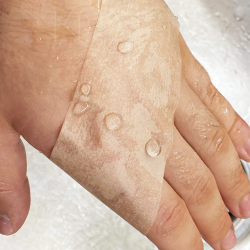 Пластырь на бумажной нетканой основе телесный 2,5х500 см  №12