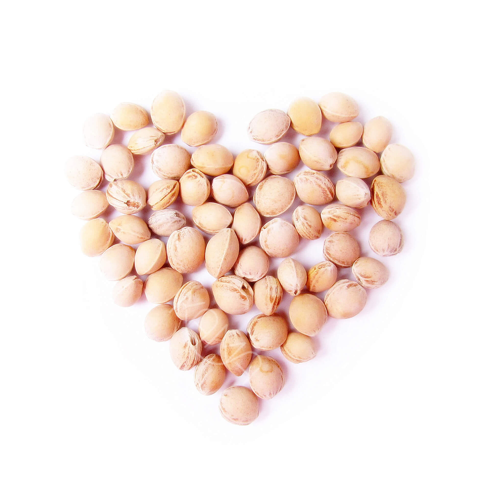 Игрушка-грелка с вишневыми косточками Корги